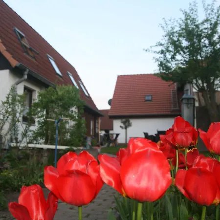 Luxurious Holiday Home In Gersdorf With Trampoline * Biendorf